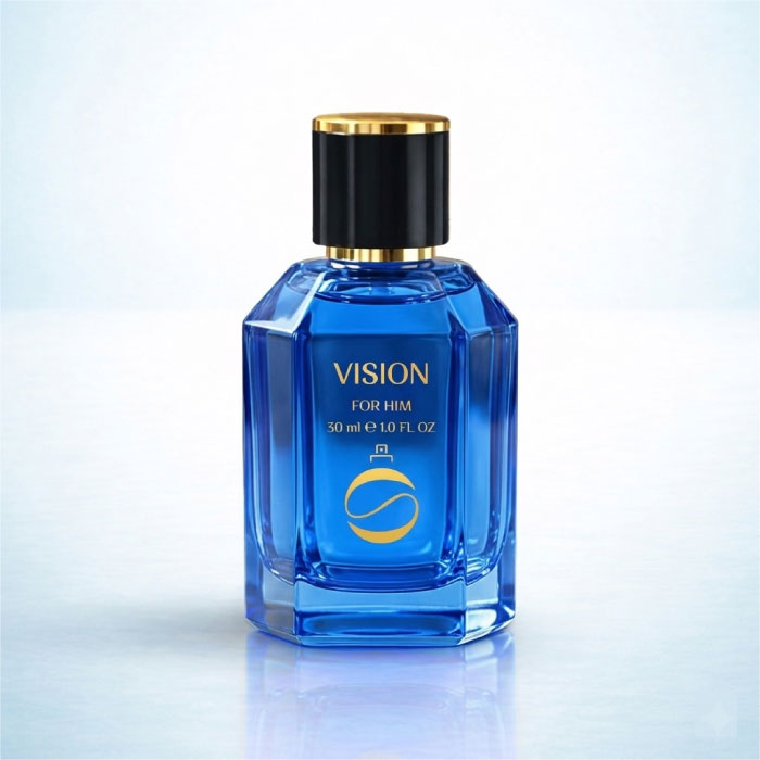 vision-1